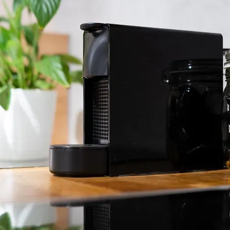 公寓 Luxe Living Castle View 克拉科夫